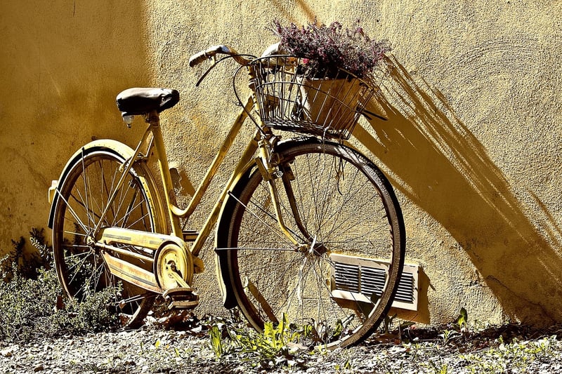 Bicycle Wheel Photo Display